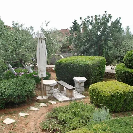 Panorama Ii *